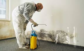 Best Mold Removal for HVAC Installations  in Wanaque, NJ