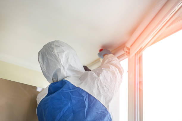 Best Black Mold Removal  in Wanaque, NJ