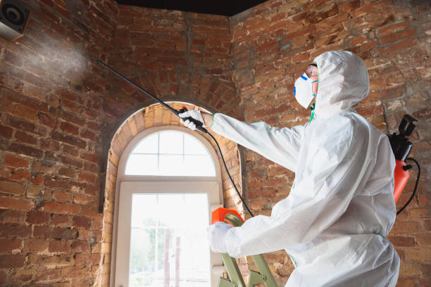 Best Asbestos and Lead Testing During Mold Inspection  in Wanaque, NJ