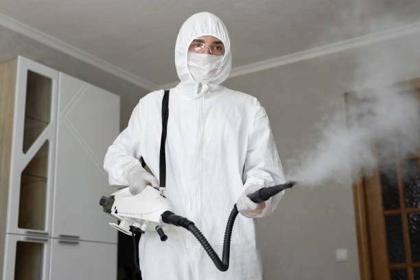 Best Black Mold Removal  in Wanaque, NJ