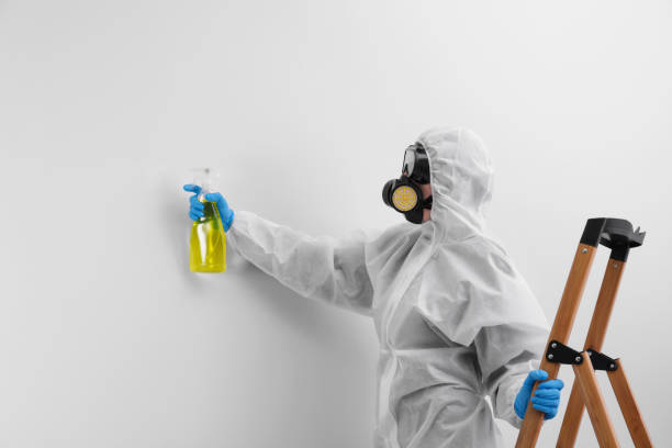 Best Mold Prevention Services  in Wanaque, NJ